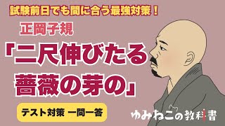 正岡子規「二尺伸びたる薔薇の芽の」テスト対策一問一答のサムネイル