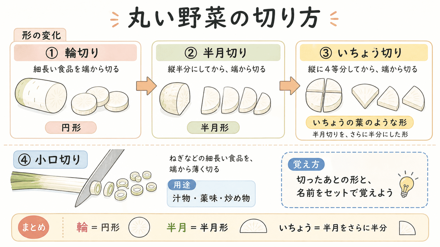 丸い野菜を円形にする輪切り、半月形にする半月切り、半月切りをさらに半分にしたいちょう切りと、ねぎを薄い輪にする小口切りを示した図解。