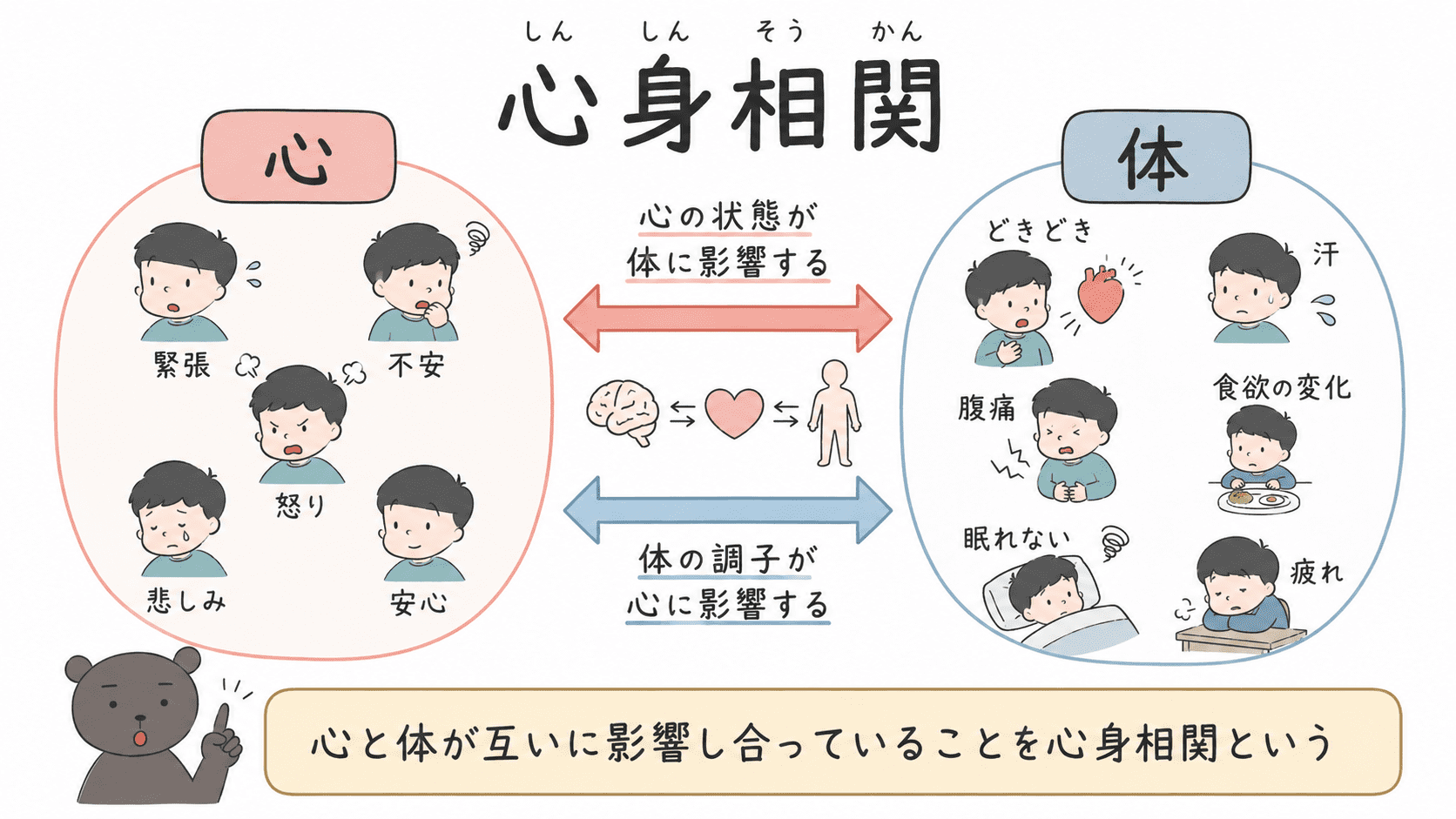 心と体が互いに影響し合っていることを、双方向の矢印で示した心身相関の図