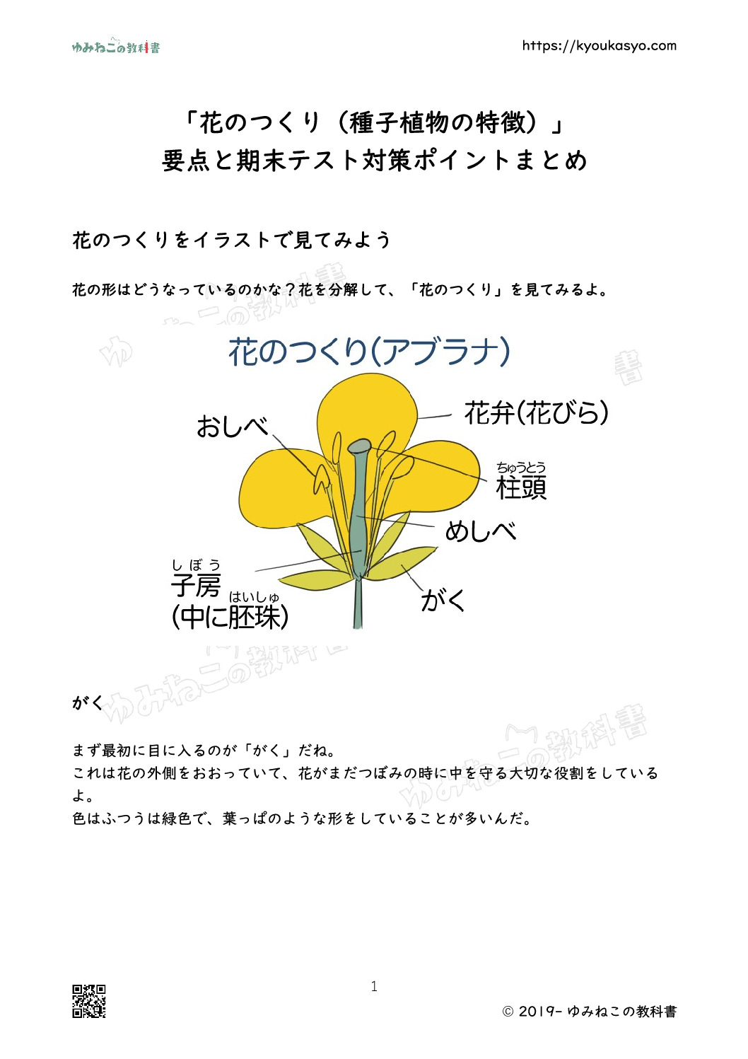 「花のつくり（種子植物の特徴）」解説プリント
