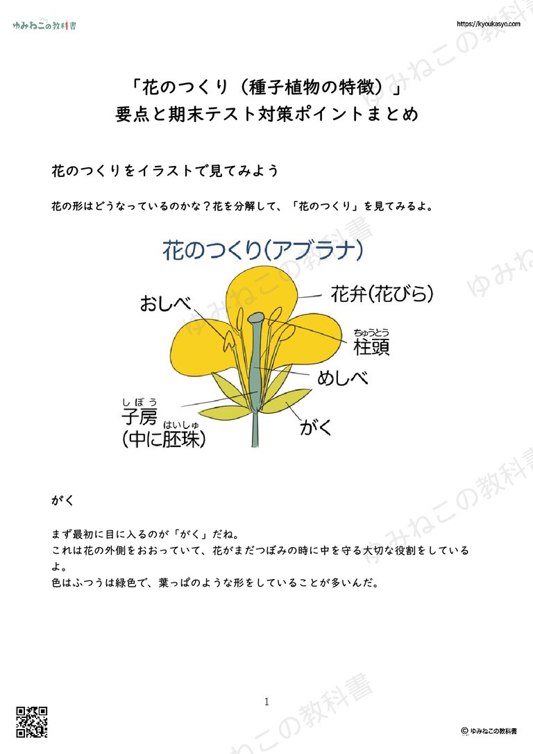 「花のつくり（種子植物の特徴）」解説プリント