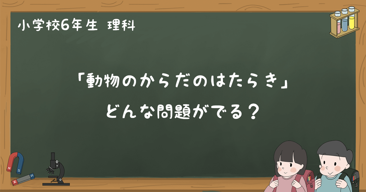 動物の体のはたらき テスト練習問題と過去問まとめ 小6理科 ゆみねこの教科書