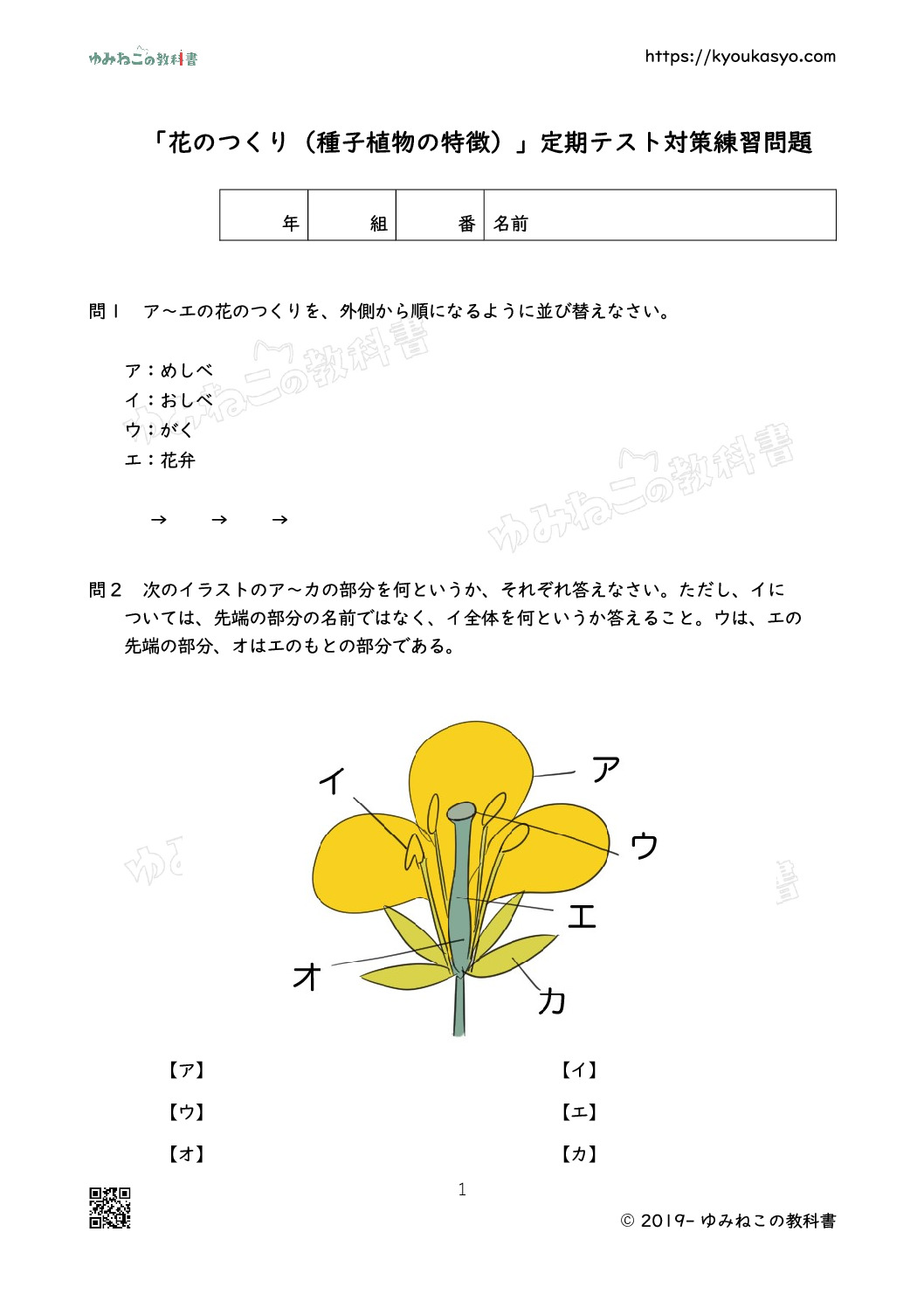 「花のつくり（種子植物の特徴）」テスト対策練習問題プリント