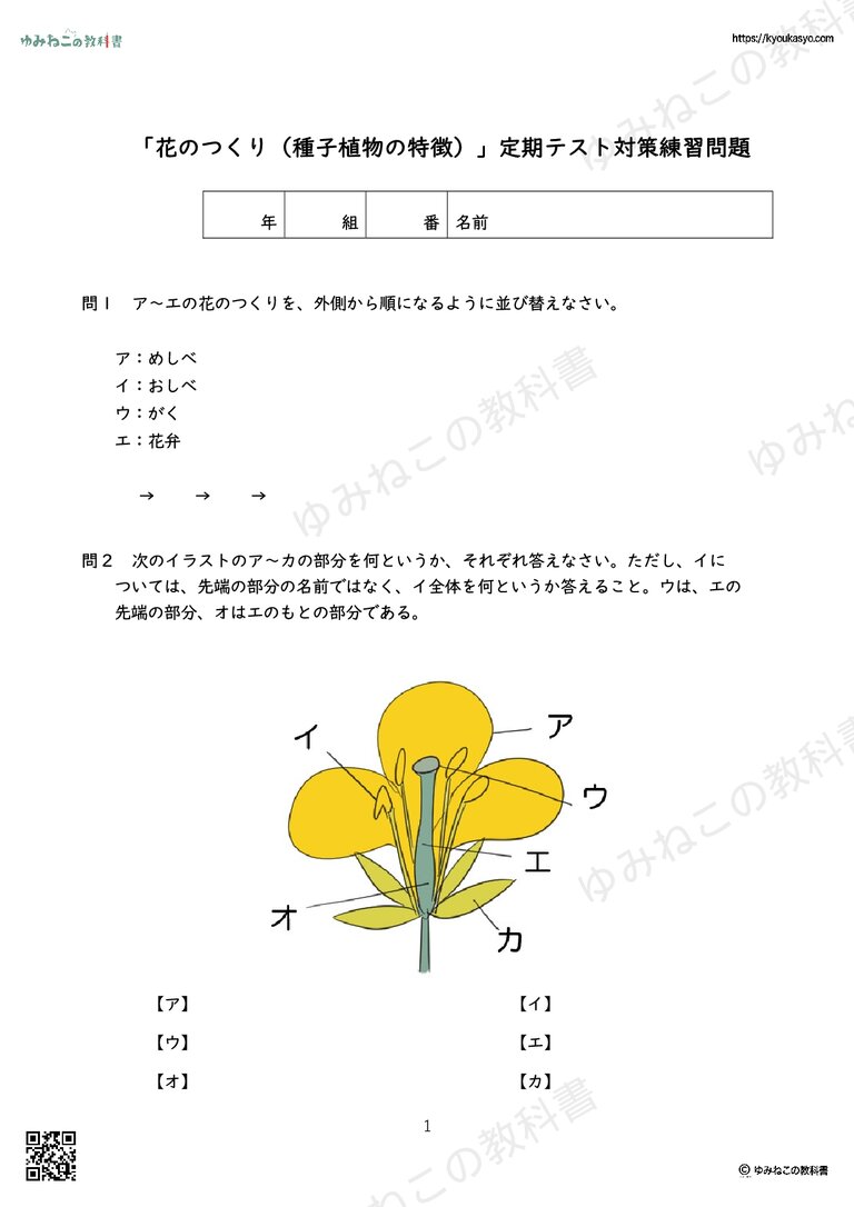 「花のつくり（種子植物の特徴）」テスト対策練習問題プリント