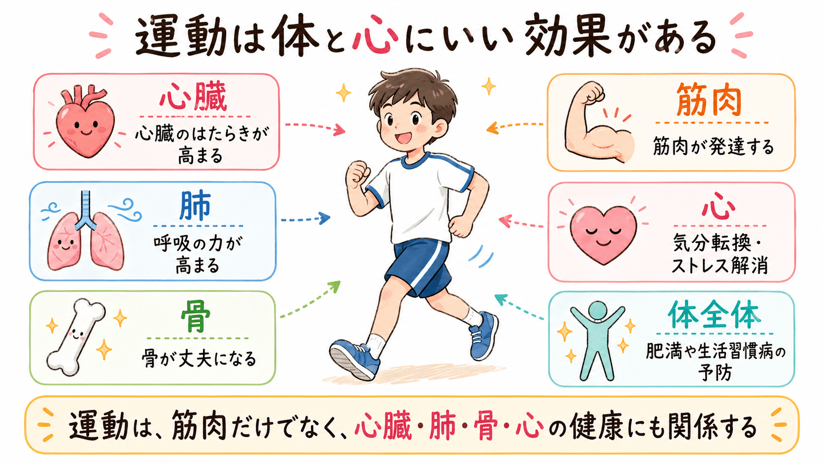 運動は心臓・肺・骨・筋肉・心の健康に効果があることを説明する図解イラスト