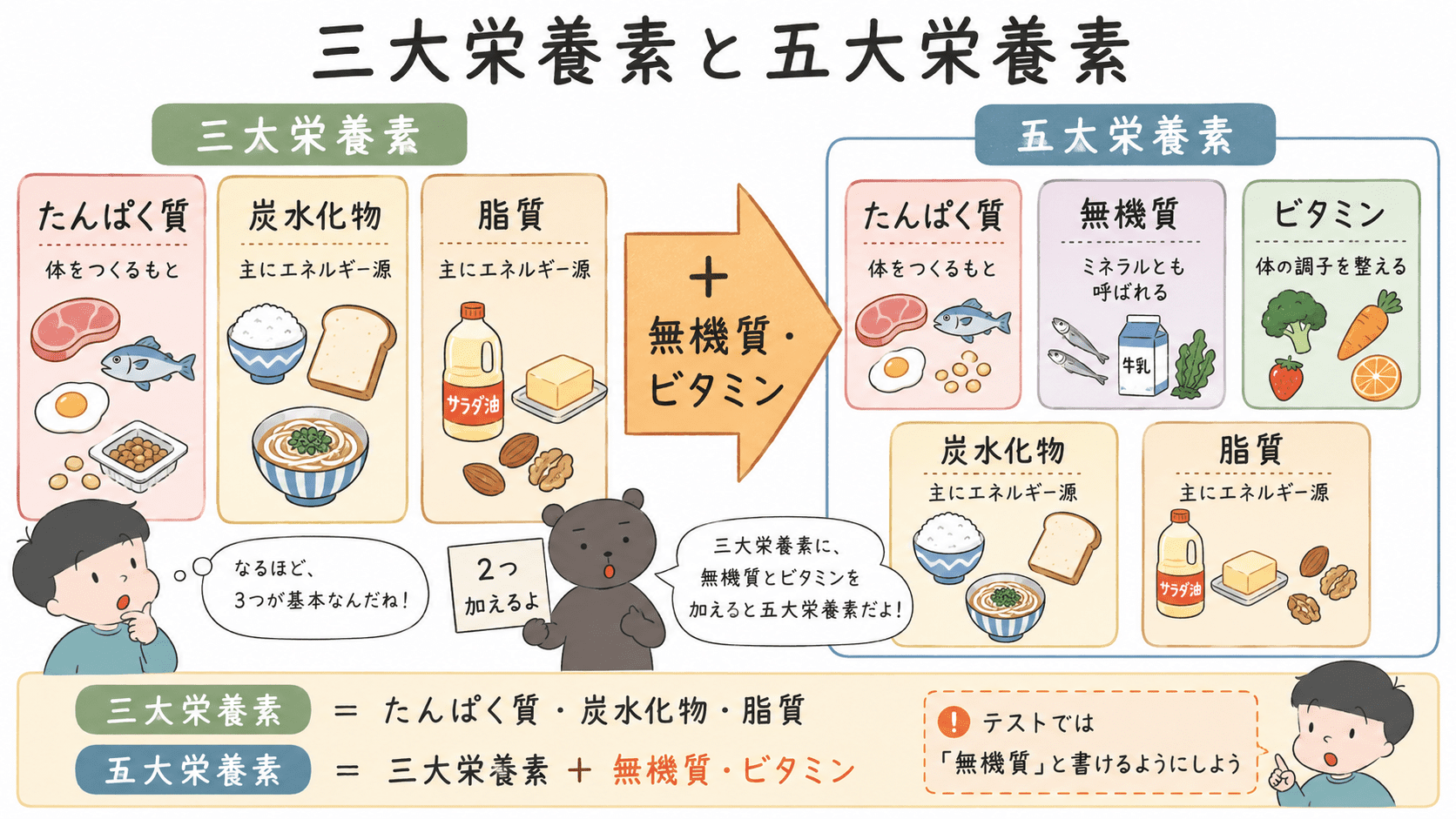 三大栄養素はたんぱく質・炭水化物・脂質で、これに無機質とビタミンを加えると五大栄養素になることを示した図解。