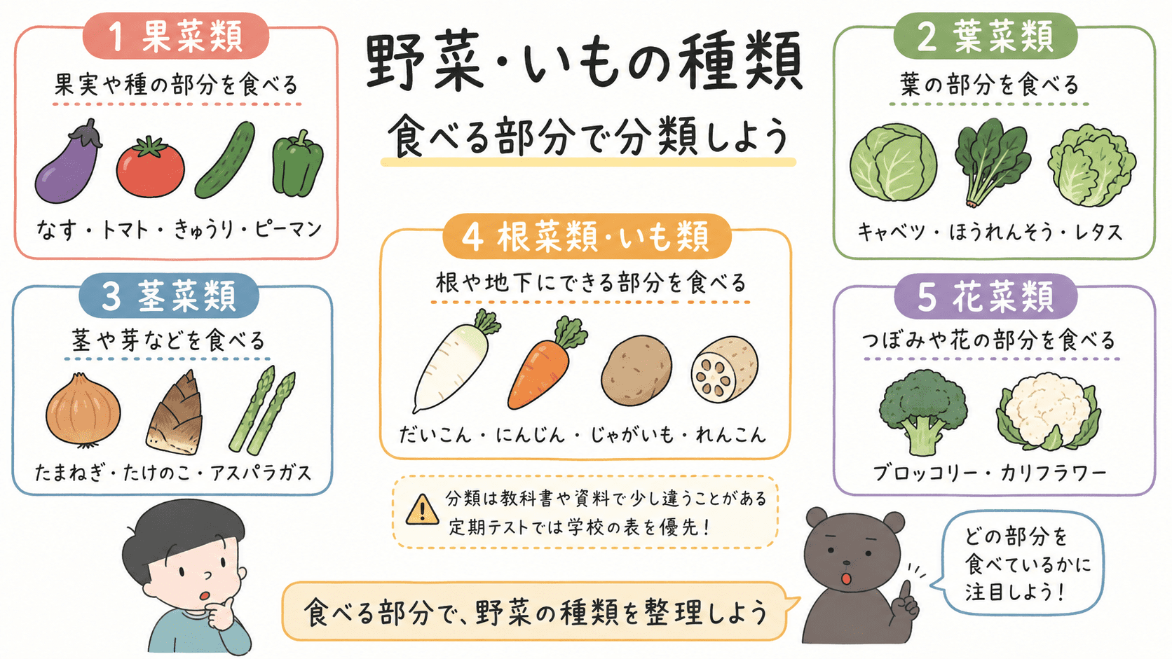 果菜類・葉菜類・茎菜類・根菜類・いも類・花菜類を、食べる部分と代表的な野菜の例で整理した図解。
