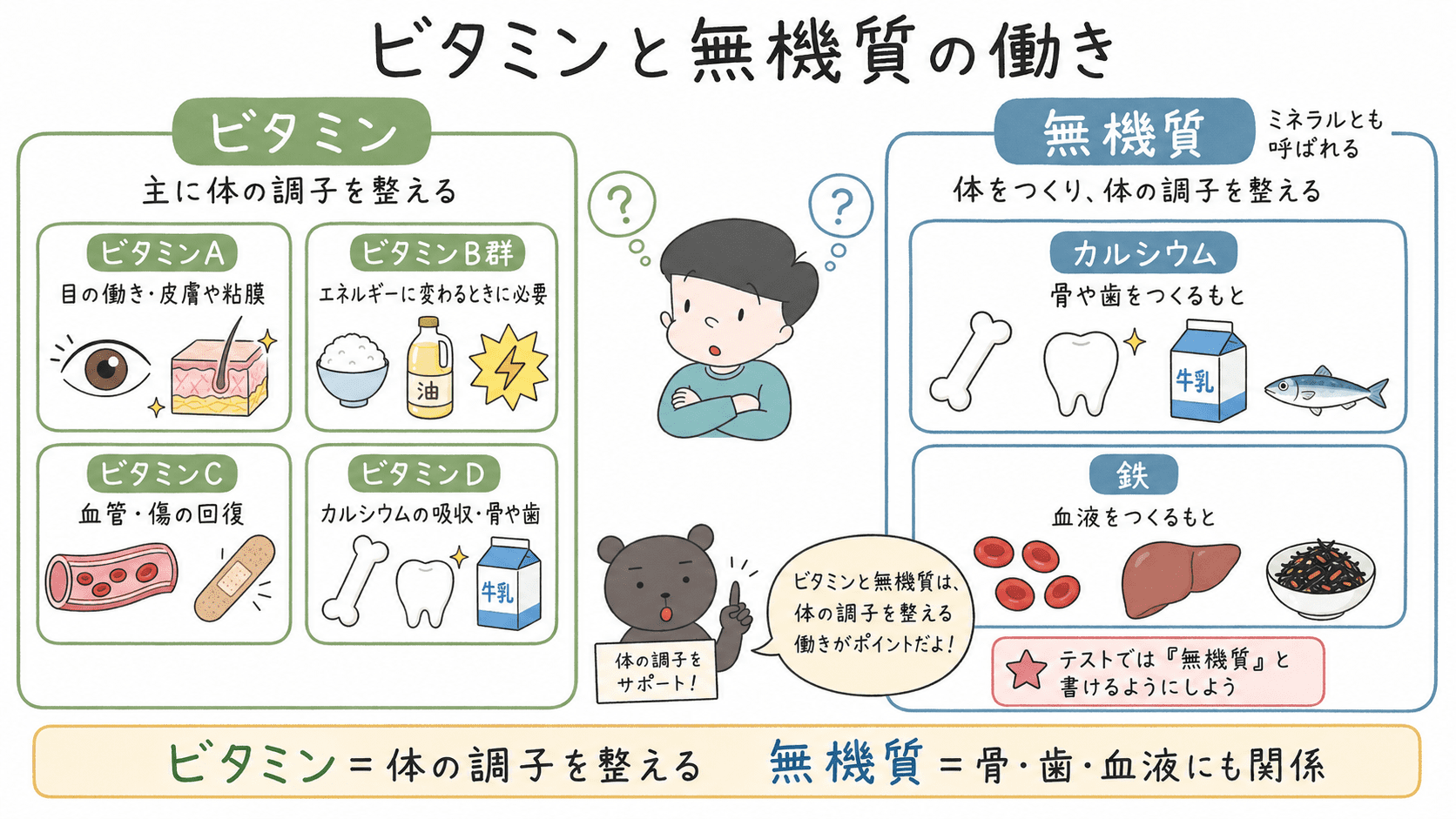 ビタミンA・B群・C・Dと、無機質であるカルシウム・鉄の主な働きを整理した図解。