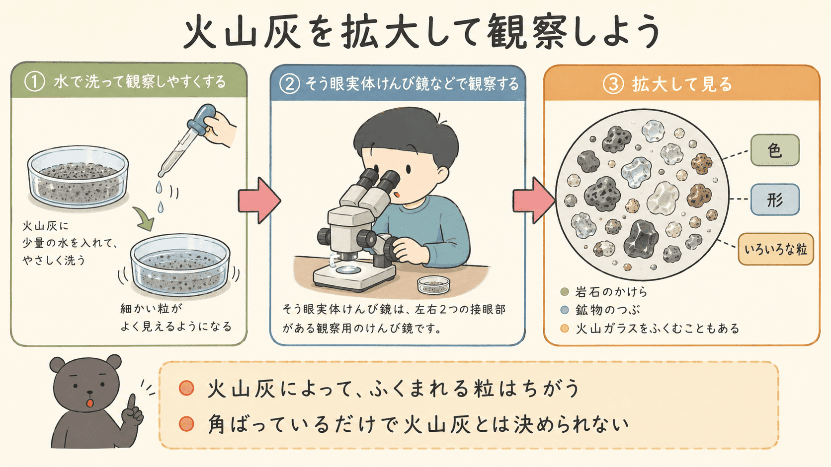 火山灰を水で洗って観察しやすくし、そう眼実体けんび鏡で粒の色や形を観察する手順を示した図