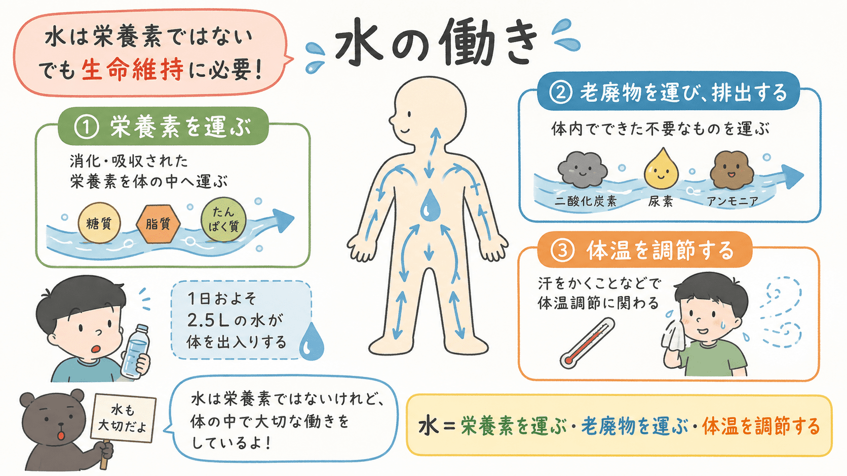水は栄養素ではないが、栄養素や老廃物を運び、体温調節にも関わることを示した図解。
