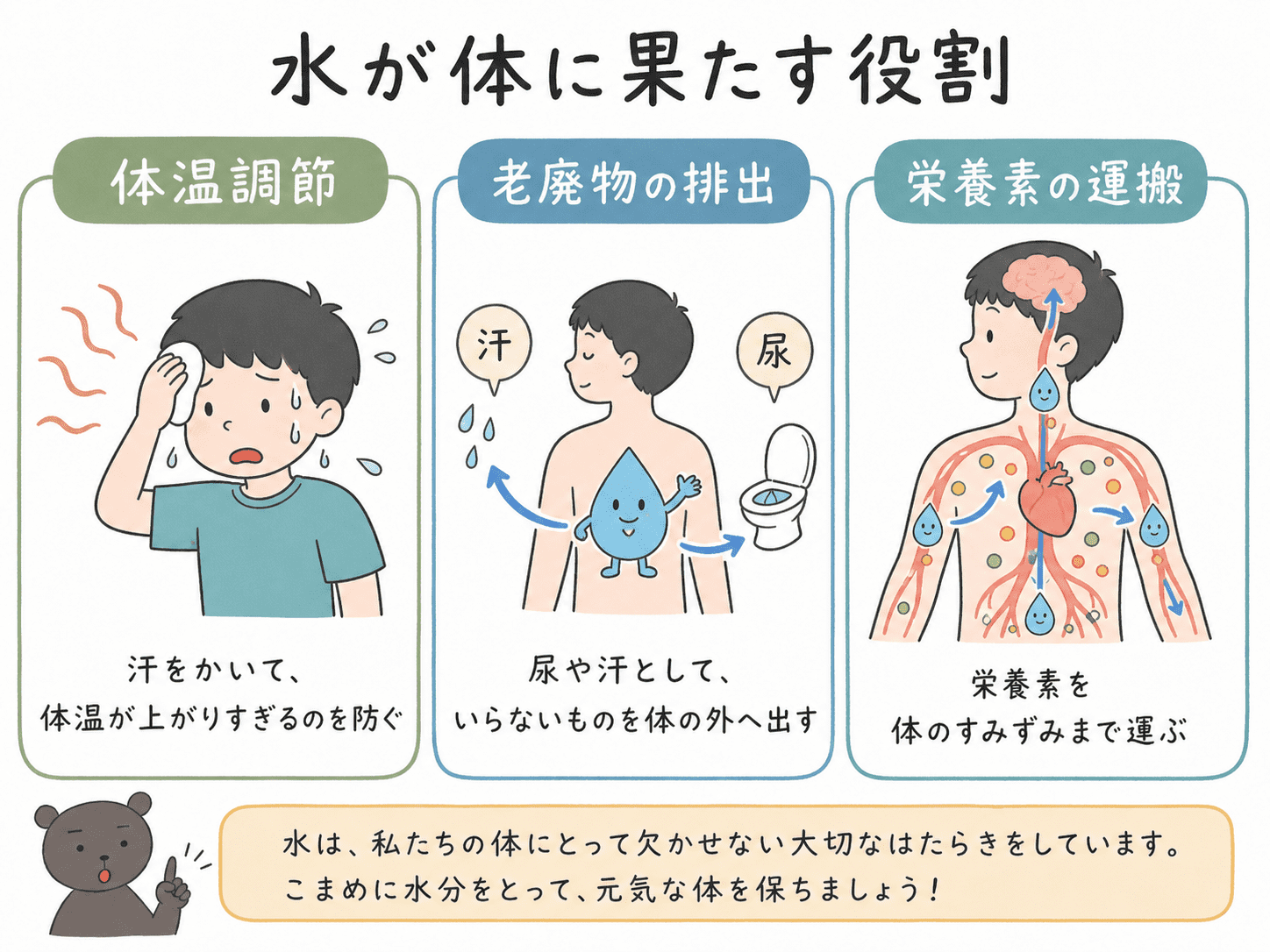 水が体の中で果たす役割を、体温調節・老廃物の排出・栄養素の運搬の3つに分けて示した図解