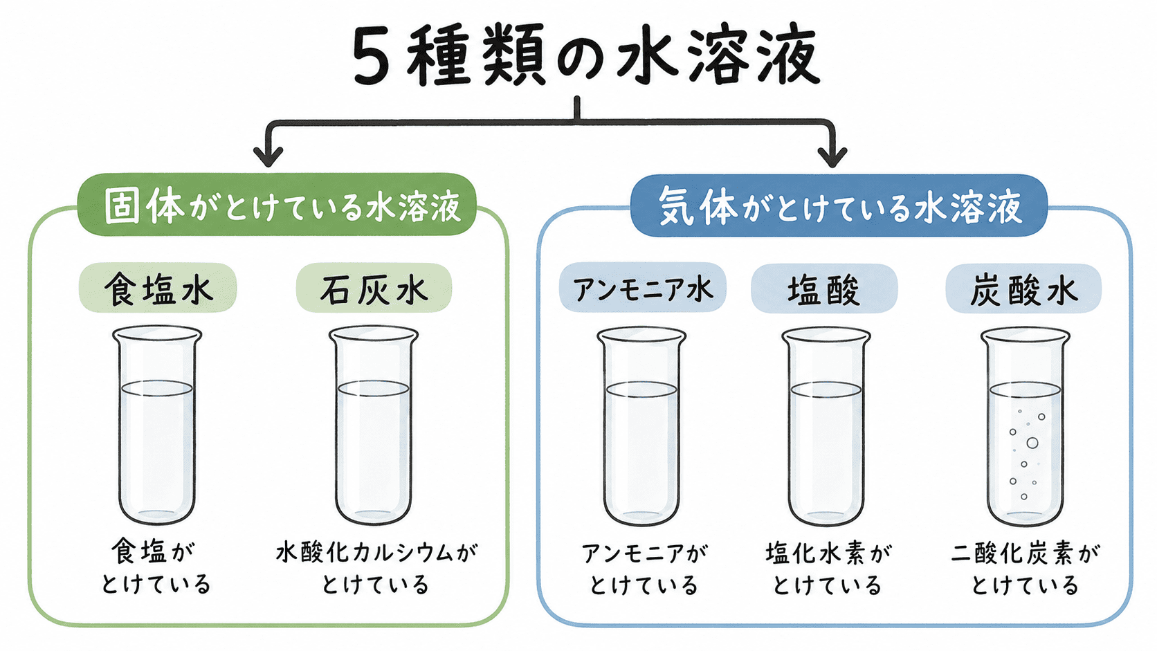 5種類の水溶液を、固体がとけているものと気体がとけているものに分けた図