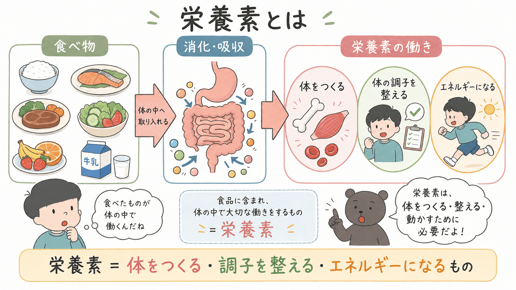 食べ物が消化・吸収され、栄養素として体をつくる、体の調子を整える、エネルギーになる流れを示した図解。